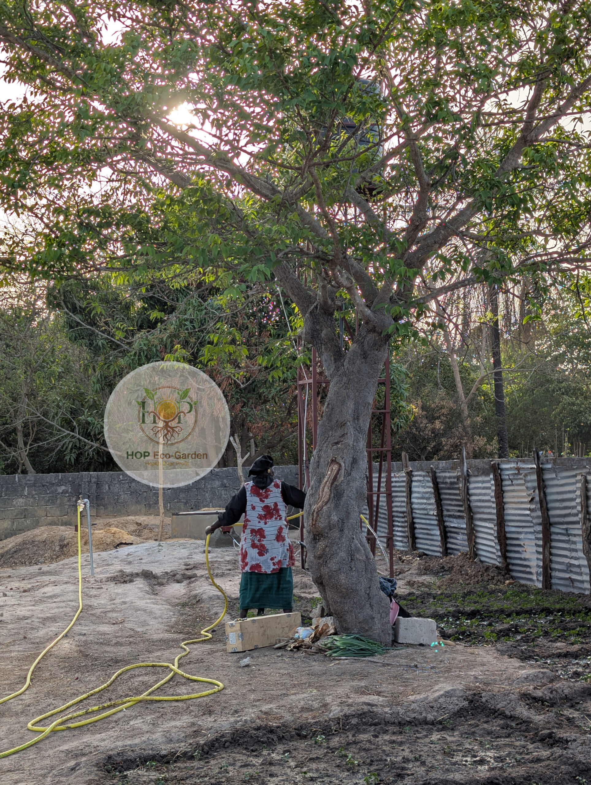 hop-manager-watering-scaled.jpg
