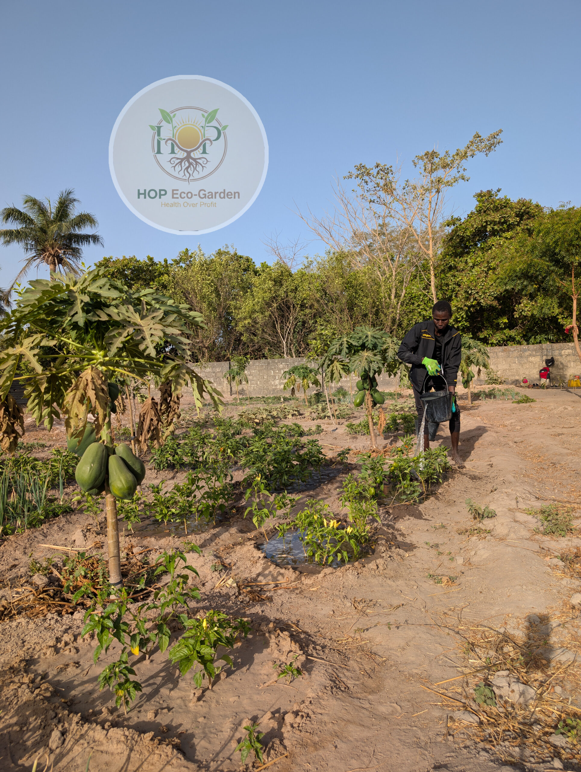 hop-vegetables-watering-day-scaled.jpg